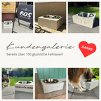 Hundenapf personalisiert aus Beton | Futternapf Beton | Wassernapf Hund Beton l handgemacht
