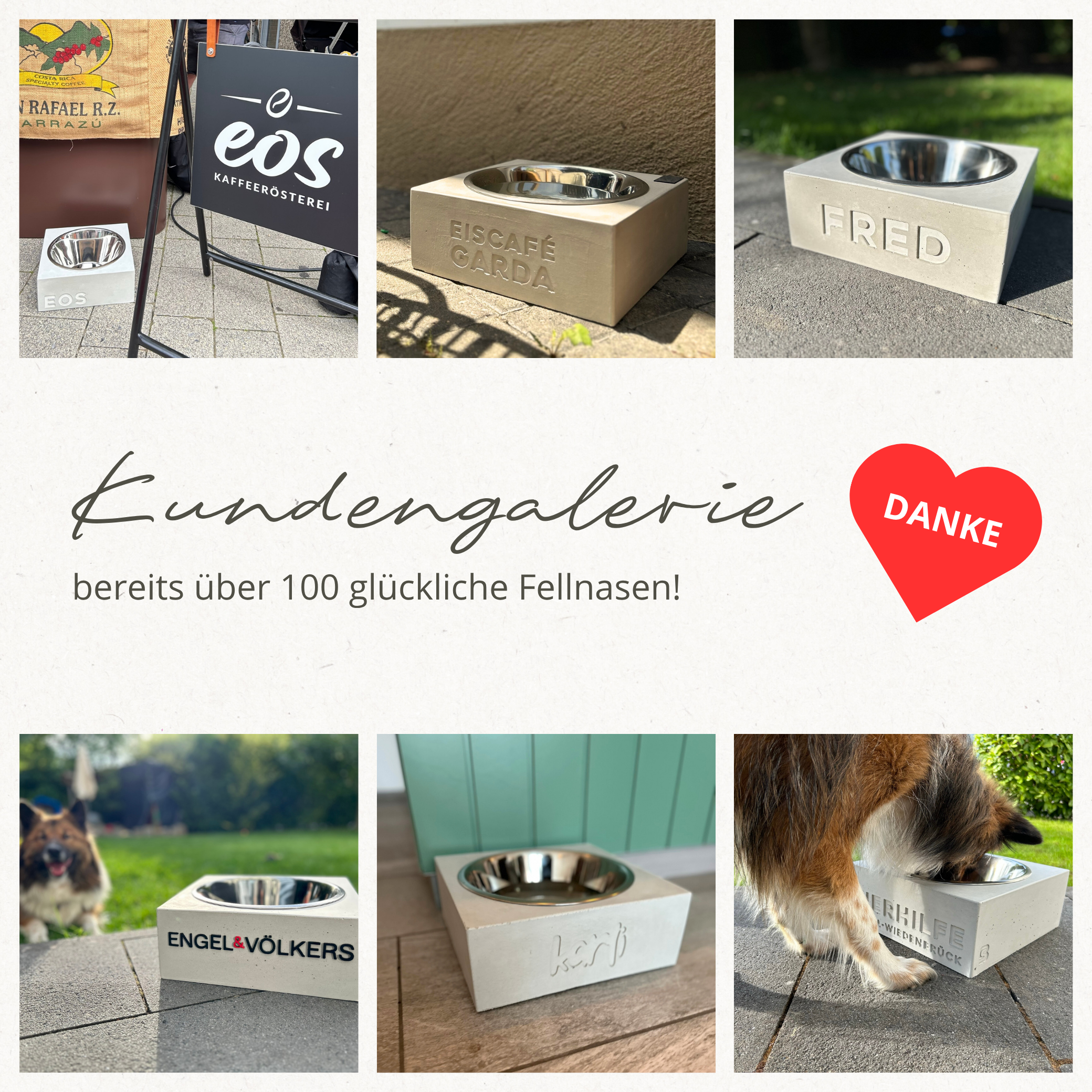 Hundenapf personalisiert aus Beton | Futternapf Beton | Wassernapf Hund Beton l handgemacht